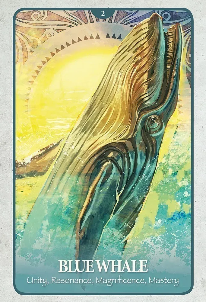 The Secret Language of Animals Oracle Cards